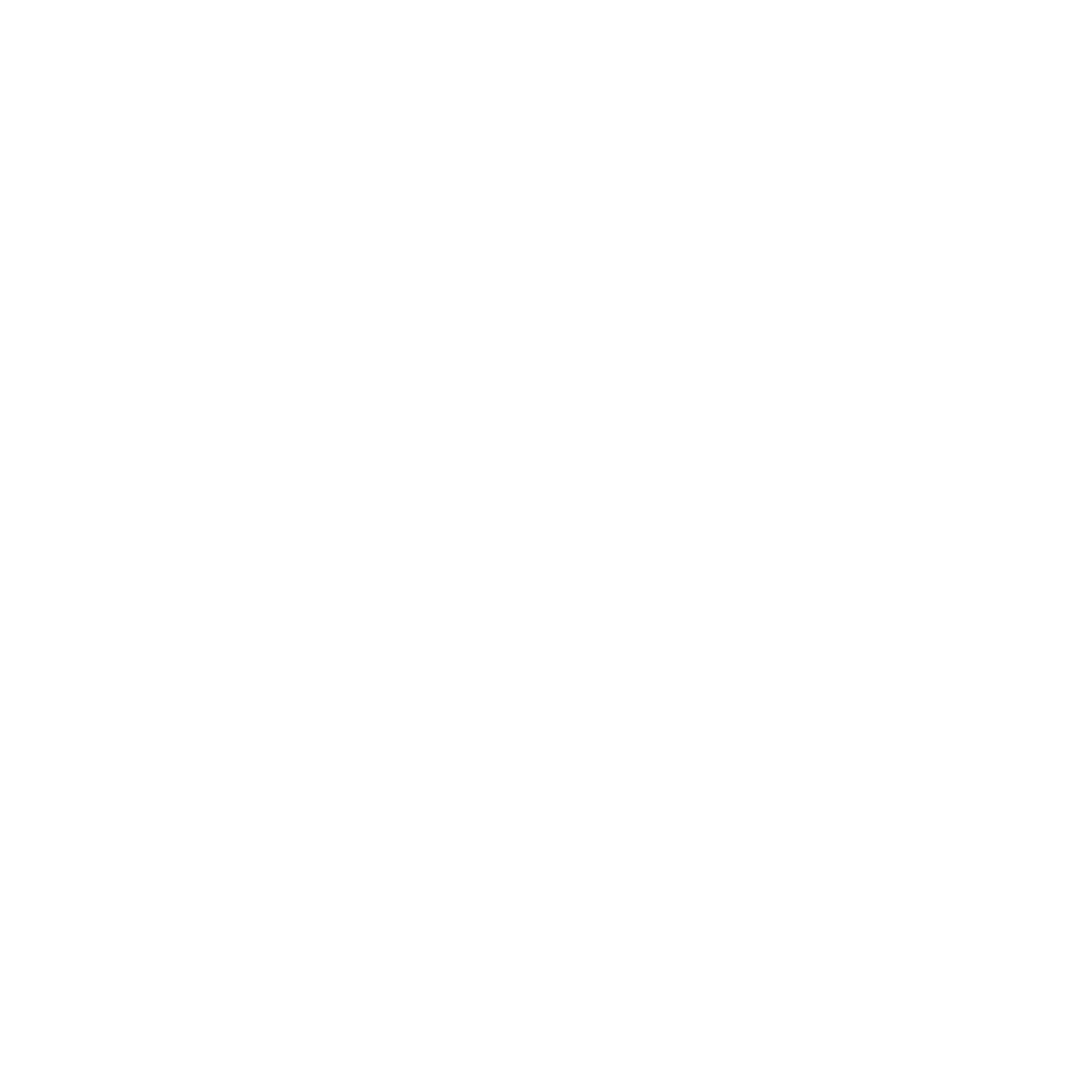 南湾一中 Logo